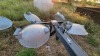 Magnum MLT3060 Portable Light Tower - 3
