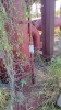 Separator Gas Buster - 4