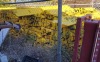 Lot of (100) Drive Over Containers - 2