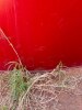 Lot of (4) Upright Mud Circulating Tanks - 7