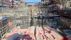 Lot-2: Used Automotive Batteries (Total QTY 3,259) - 9