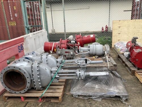 Lot-96225: Unused Valves, Fittings, Flanges (Total Approx. Qty: 25,000+ pcs)