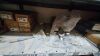 Lot-3: Unused Vehicle Spare Parts - Fahud - 30