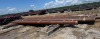 5 in. - 20 in. CASING & TUBING (QTY. 138 Joints) - 19