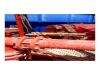 Lot-3: Mud & Fluid Circulation System &mdash; 2x GD PZ8 Mud Pumps, Tanks & Shakers - 31