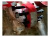 Lot-4: 10K Pressure Control & Wellhead Package &mdash; Quad BOP, Chokes & Valves - 19