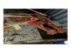 Lot-8: Rig Handling, Camp & Ancillary &mdash; Catwalk, Dolly, Elevators & Site Units - 15