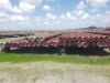 Lot-96107: Unused Casing 13 3/8&rsquo;&rsquo; 68# P110 BTC 254 Joints (321 MT) - 5