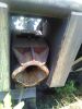Lot-1: Surplus Single Point Mooring (SPM/SBM) Buoy (1 unit approx.weight 110 MT) - 12