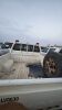 Lot-16: Used 2014 Toyota Pick up 4x4 double cabin 1 ton - 2